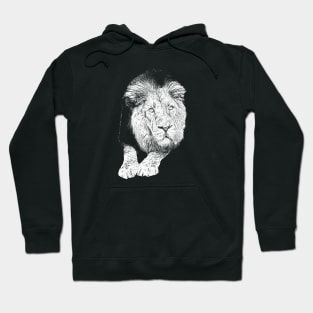 Lion portrait Hoodie